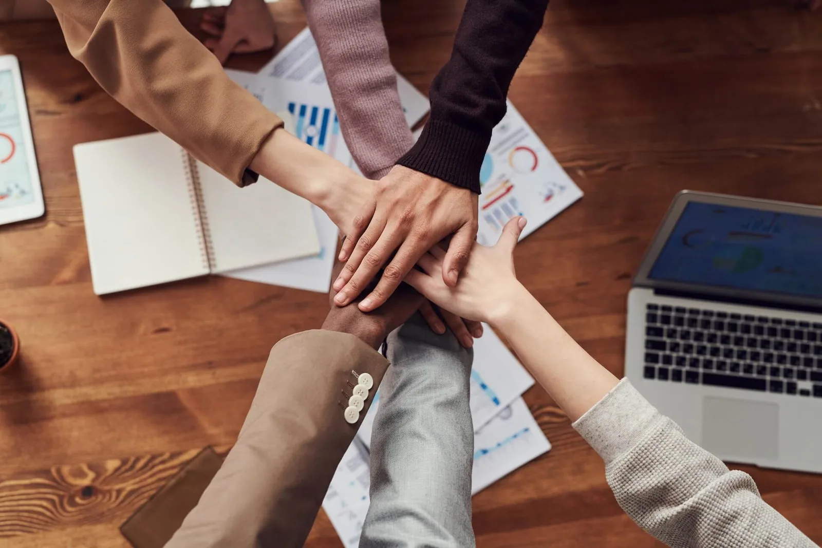 wordpress vast community