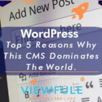 WordPress - Top 5 Reasons Why This CMS Dominates The World